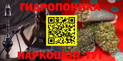 a pvp Дмитров
