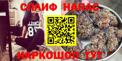 a pvp Дмитров