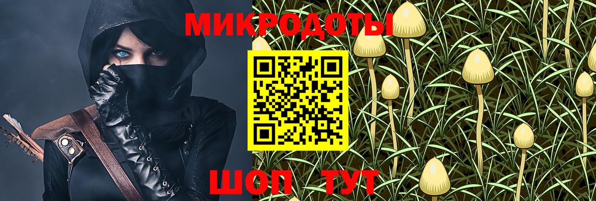 Галлюциногенные грибы прущие грибы Аргун