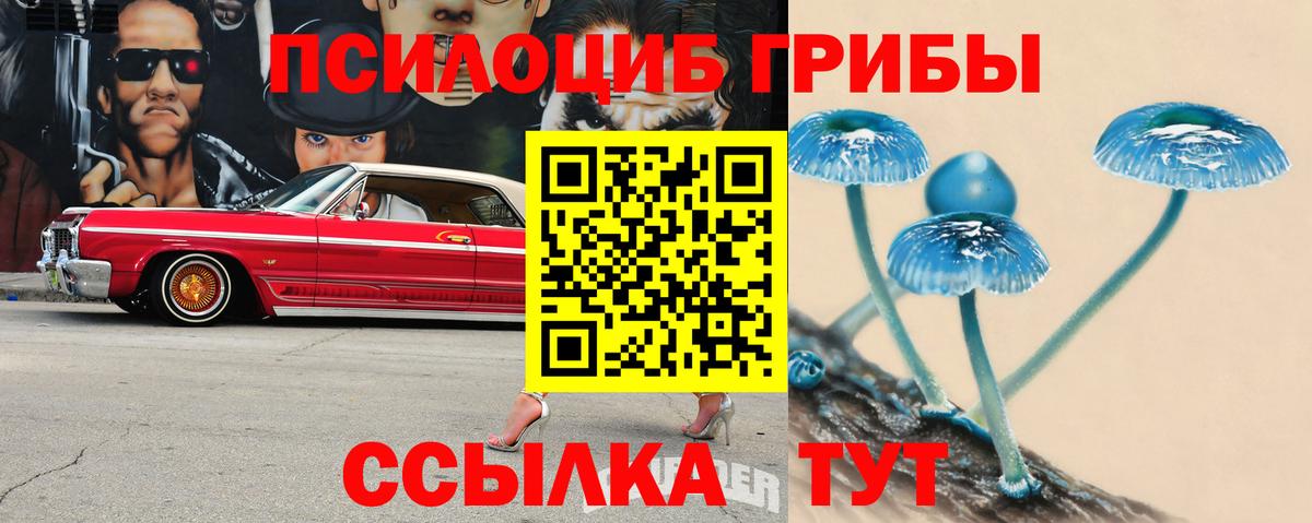 Псилоцибиновые грибы Cubensis  Галлюциногенные грибы прущие грибы  Вход с VPN  Аргун 